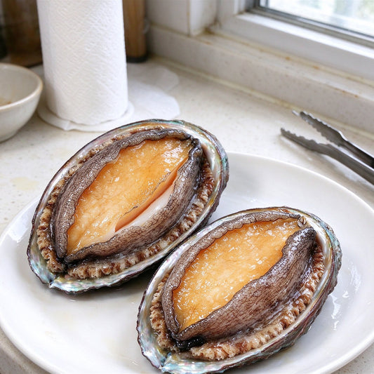Fresh Whole Abalone In Shell